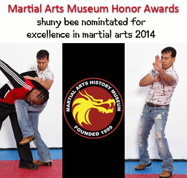 martial arts museum honor awards 2014